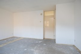 05.jpg