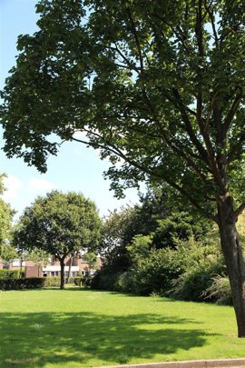 10286-huizermaat-huizen-vrije-sector-huur-eengezinswoningen-ft4106.jpg