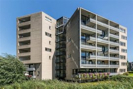 blauwtjes-3.jpg