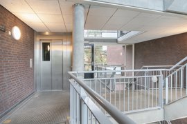 argusvlinder-82-07.jpg