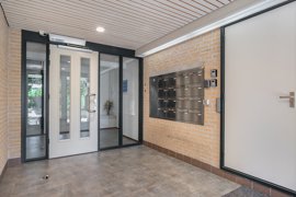 koekoeksbloem-118-05.jpg