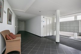 05.jpg