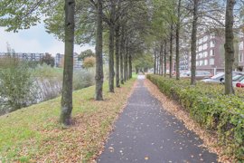argusvlinder-82-28.jpg