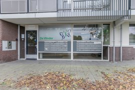 argusvlinder-82-04.jpg