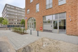 albertinasisulupad343072dhrotterdam-02.jpg