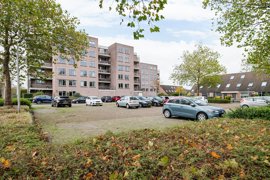 ubbemastins-146-30.jpg
