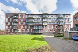 ooievaar-3.jpg
