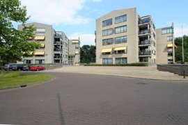 8455.jpg