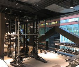 new-amsterdam-halters.jpg