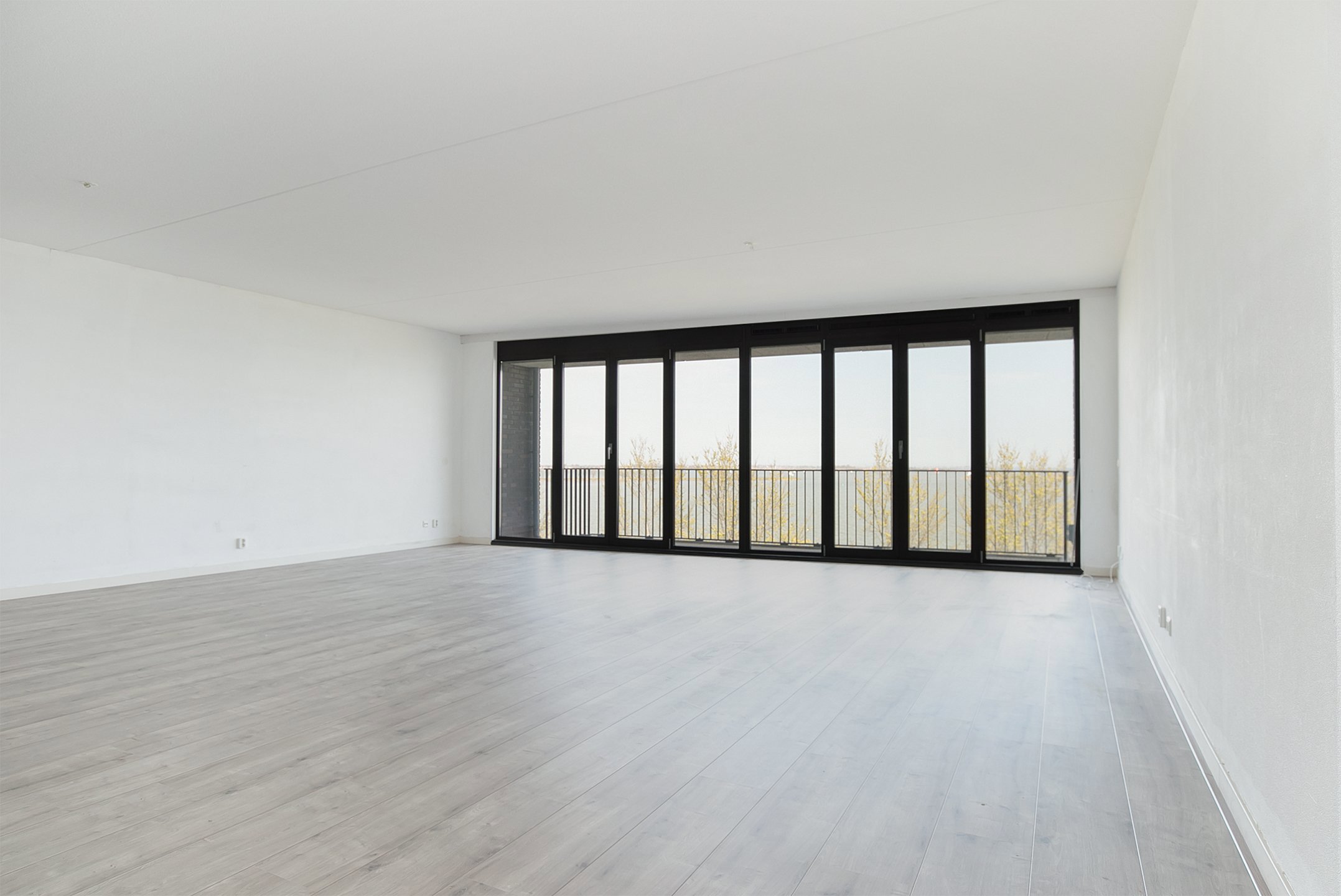 08.jpg