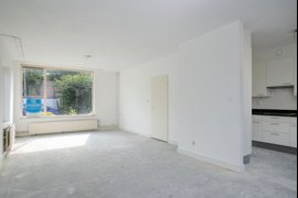05.jpg