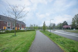 09.jpg