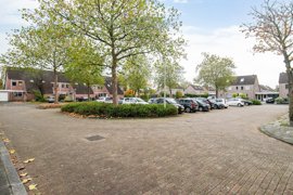ubbemastins-146-32.jpg