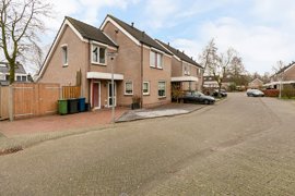 15083-witte-put-e.a.-nuenen-15-.jpg
