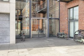 groenhoedenveem1051019hmamsterdamnl-03.jpg