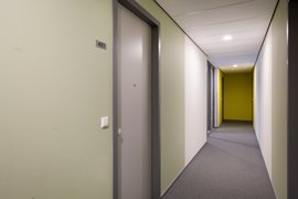 06.jpg