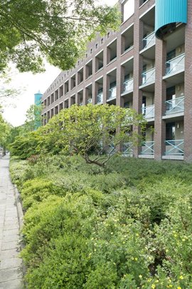 08-kattenbroek-amersfoort-lowres.jpg