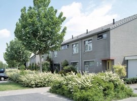 112323-muziekwijk-ft2431.jpg