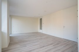 06.jpg