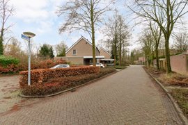 15083-witte-put-e.a.-nuenen-7-.jpg