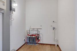 groenhoedenveem1051019hmamsterdamnl-25.jpg