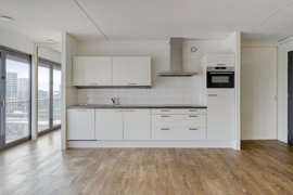 groenhoedenveem1051019hmamsterdamnl-13.jpg