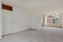 05.jpg