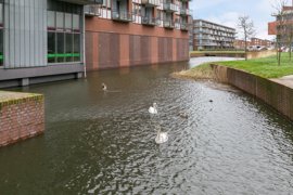 15762-dampkring-heerhugowaard-2-.jpg
