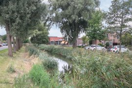 bunuelstrook-124-22.jpg