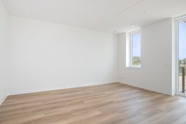 spitskade-64-09.jpg