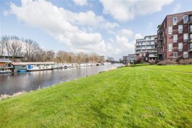 ooievaar-8.jpg