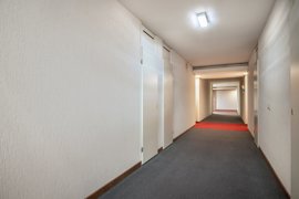 ubbemastins-146-08.jpg