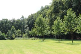 11156-zonnestraal-appartementen-hilversum-complexfoto-10-.jpg