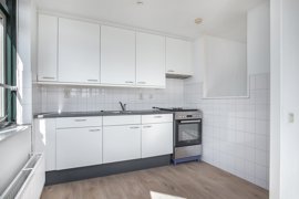 koekoeksbloem-118-17.jpg