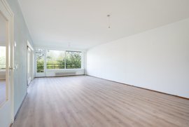 1500677-13.jpg