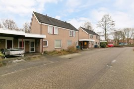 15083-witte-put-e.a.-nuenen-2-.jpg