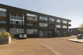 01.jpg