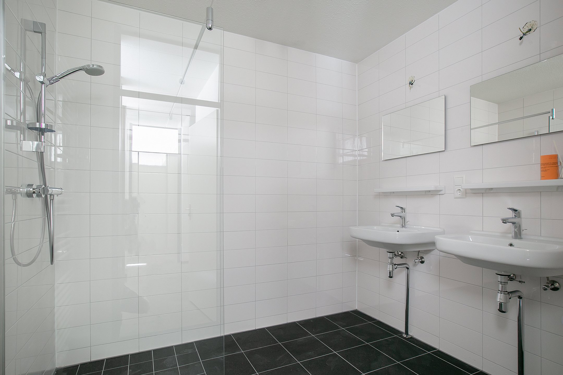 Appartement te huur: Anna Paulownahof 11, Tilburg