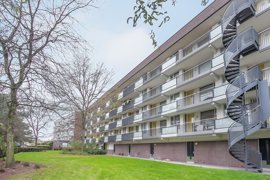 argusvlinder-82-32.jpg