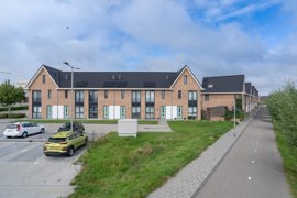 09.jpg