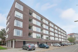 argusvlinder-82-02.jpg