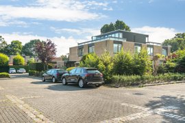 distelweide-1-33.jpg