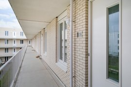 06.jpg