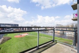 ooievaar-5.jpg