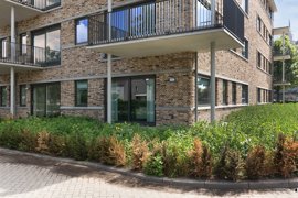 11320-de-goudsbloem-s-hertogenbosch-complexfoto-05.jpg