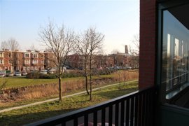 img-7138-medium-.jpg