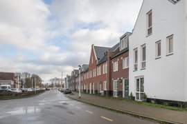 05.jpg