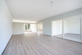 1500677-15.jpg