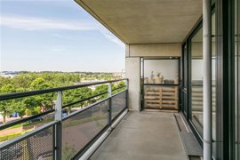 blauwtjes-8.jpg