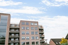 ubbemastins-146-05.jpg